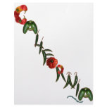 California Chili Peppers Custom Letterhead