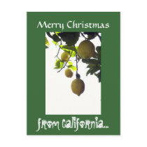 California Christmas Postcard by ArtHeals California Christmas Postcard
