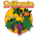 California circle shirt F/B by Duncan_Reed California circle shirt F/B