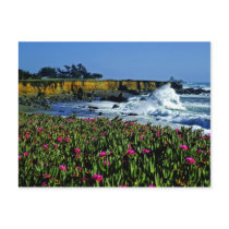 California Coast Postcard
