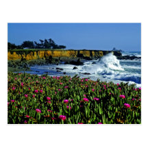 California Coast Postcard