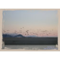 California Coastline Card Series (15) zazzle_card
