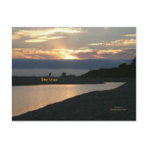 California Coastline - Carmel - Postcard
