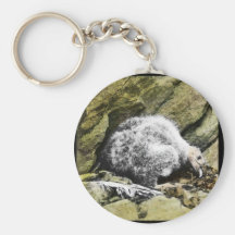 California condor chick keychain