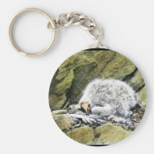 California condor chick keychain