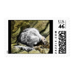 California condor chick postage stamps