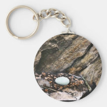 California condor egg keychains