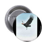 California condor in flight buttons