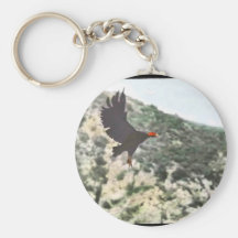 California condor key chains