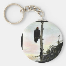 California condor key chains