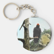 California condor key chains