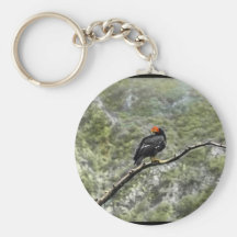 California condor keychain