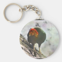 California condor keychain