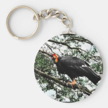 California condor keychains
