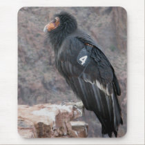 California Condor mousepads