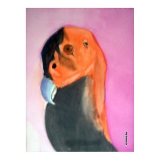 California Condor on Canvases, Prints and Posters print