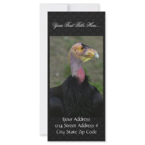 California condor rack card