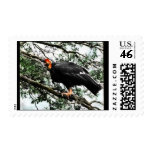 California condor stamp