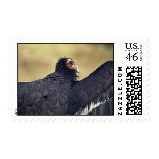 California condor stamps