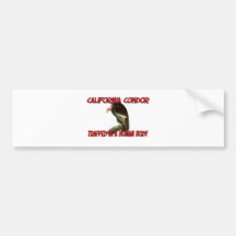 California Condor trapped in a human body Bumper Sticker