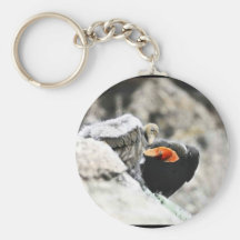 California condor with young keychains