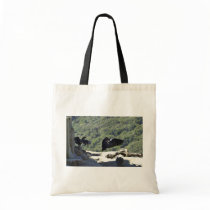 California condors canvas bags