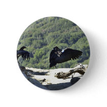 California condors pin