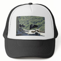 California condors mesh hats