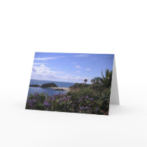 California Dreamin' - Laguna Beach Greeting Cards cards