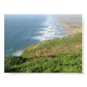 California Dreaming posters