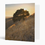 California East Bay Hills in Summer binder