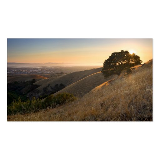 California East Bay Hills in Summer business card