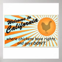 California Equal Rights Poster Print