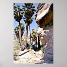 California Fan Palms, Lost Palms Oasis Poster
