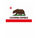 California Flag T-shirt