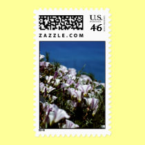 California Flowers Postage postage