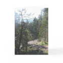 California Forest cards by sumiko California Forest cards