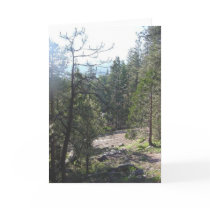 California Forest cards by sumiko California Forest cards
