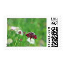 California Garden Postage