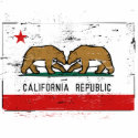 California Gay Marriage T-shirt