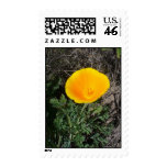 California Gold stamps