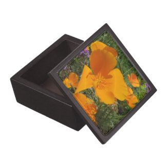 California Golden Poppy Gift Box 