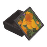 California Golden Poppy Trinket Gift Box Premium Jewelry Boxes