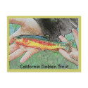 California Golden Trout Postcard by DaSleepy75 California Golden Trout Postcard