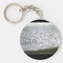 California Gull's Keychain