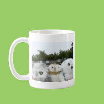California Hooties mugs