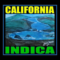 CALIFORNIA INDICA posters