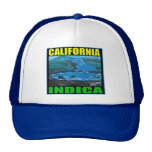 CALIFORNIA INDICA TRUCKER HATS