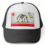 California is REALLY POOR hats