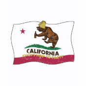 California Knows How to Party Bear